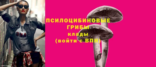 гашик Абдулино