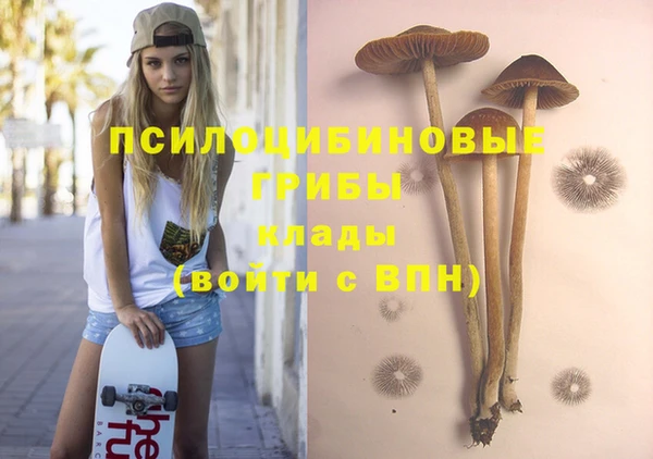 кокс Абаза