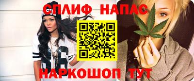прущие грибы Заводоуковск