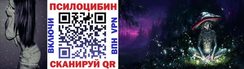 Галлюциногенные грибы мицелий  купить наркоту  Нижнекамск 