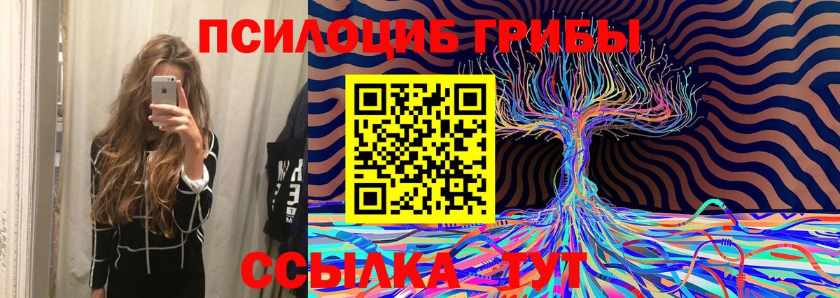Галлюциногенные грибы Psilocybine cubensis  как найти закладки  Нижнекамск  Вход с VPN 